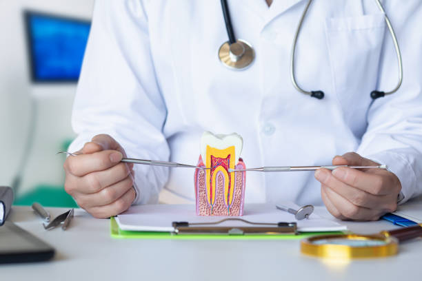 Best Emergency Dental Care for Abscessed Tooth in Newtown Grant, PA